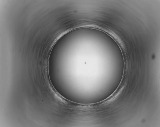 X0000095111001200712070915