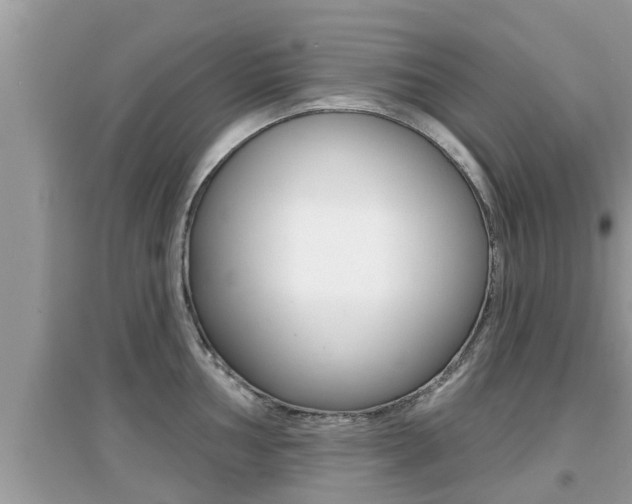 X0000095111002200712070915