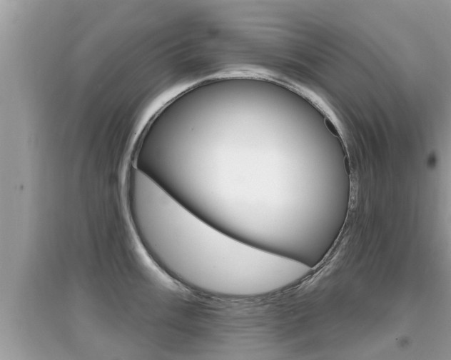 X0000095111003200712070915