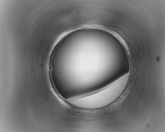 X0000095111005200712070915