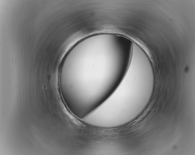 X0000095111006200712070915