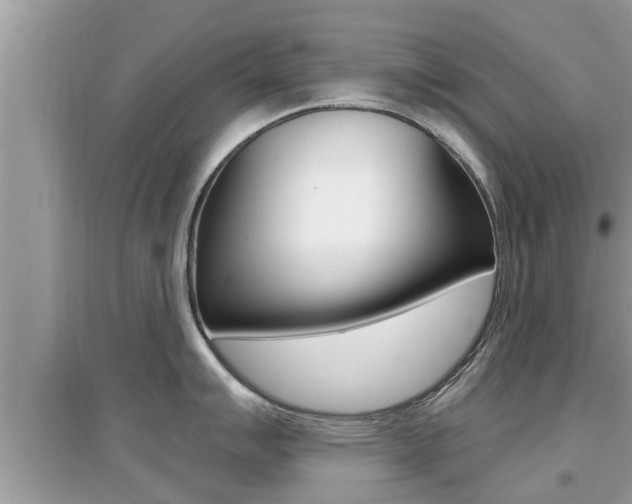 X0000095111007200712070915