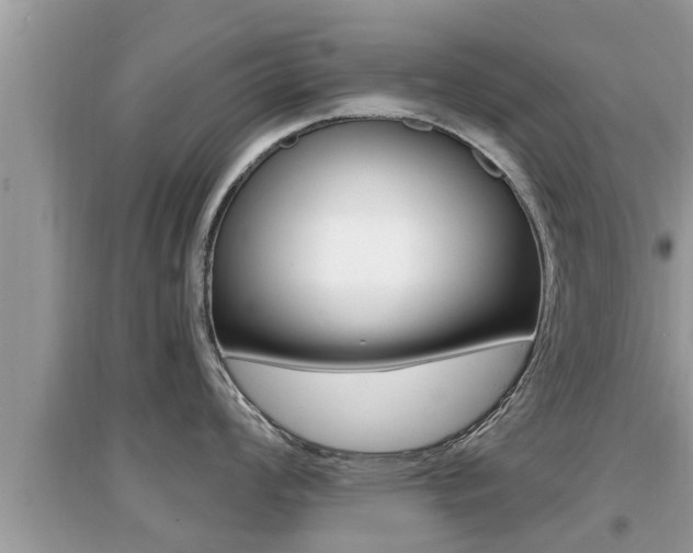 X0000095111008200712070915