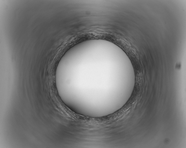 X0000095111009200712070914