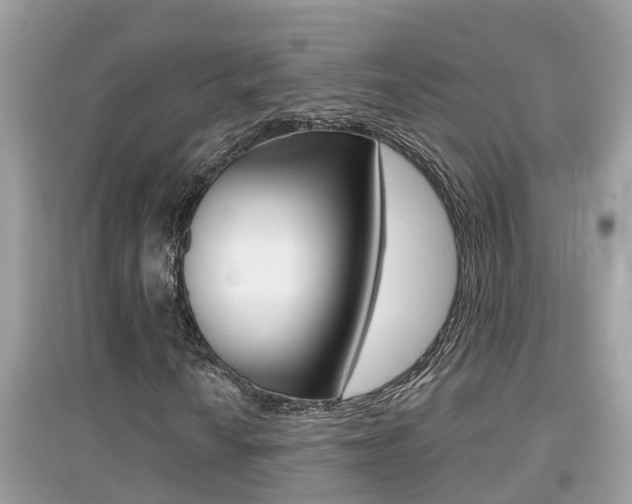 X0000095111010200712070914