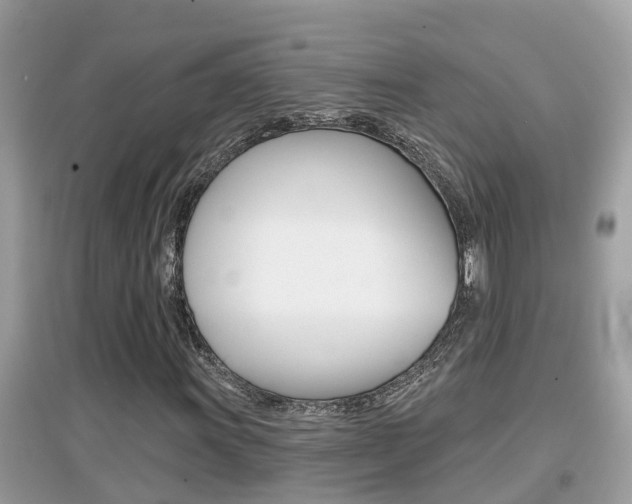 X0000095111011200712070914