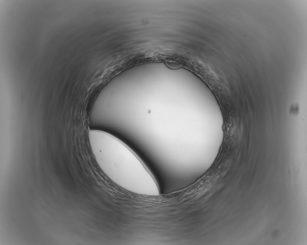 X0000095111012200712070914