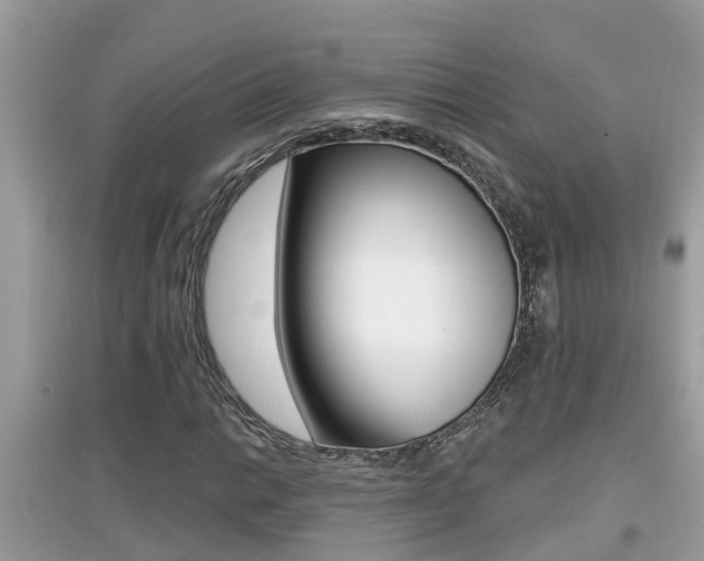 X0000095111014200712070914