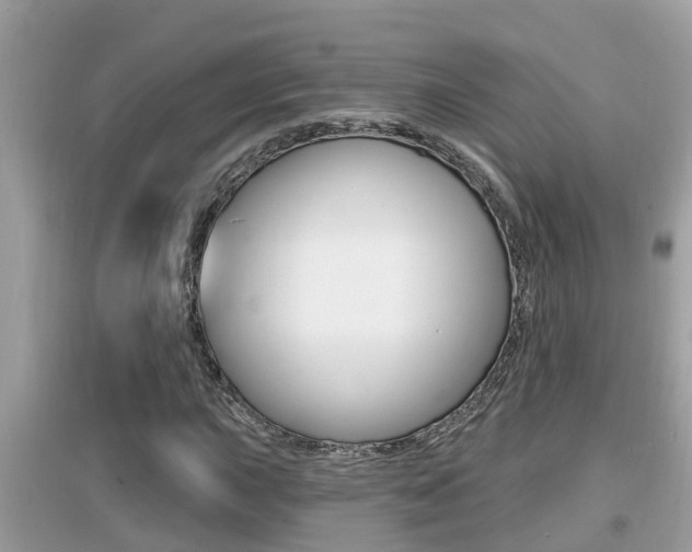 X0000095111015200712070914