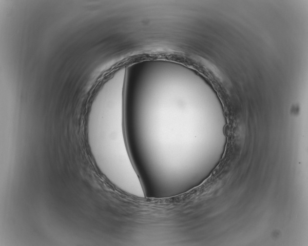 X0000095111016200712070914