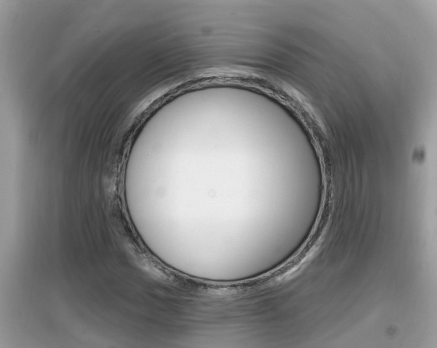 X0000095111017200712070914