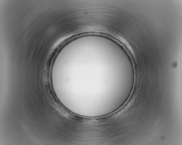 X0000095111019200712070914
