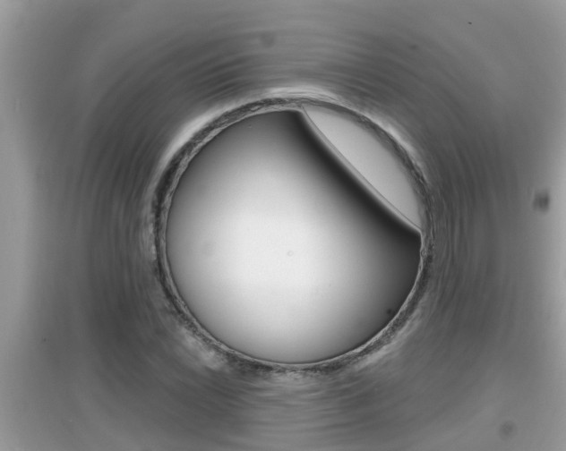 X0000095111022200712070914