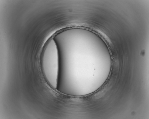 X0000095111023200712070914