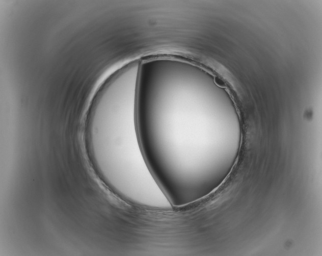 X0000095111024200712070914