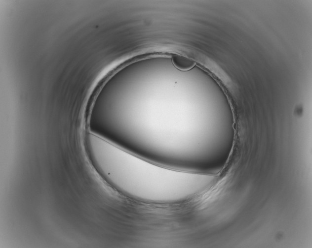 X0000095111028200712070914