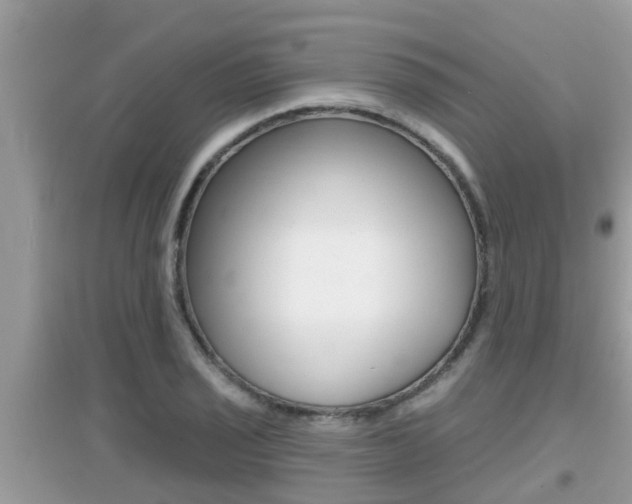 X0000095111029200712070914