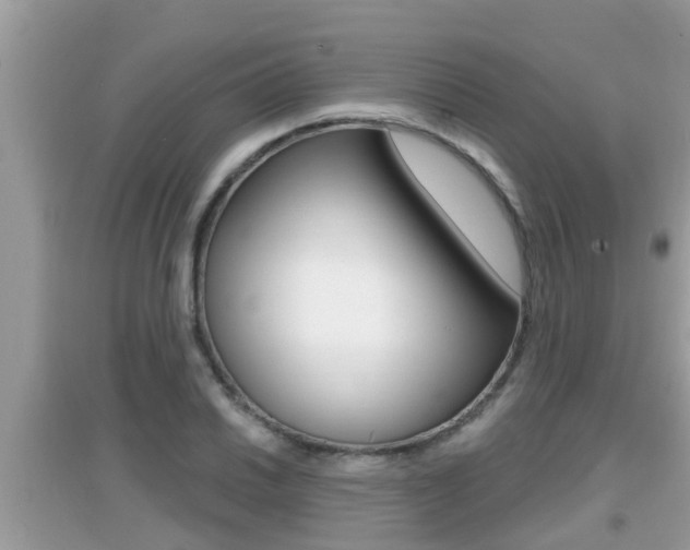 X0000095111030200712070914