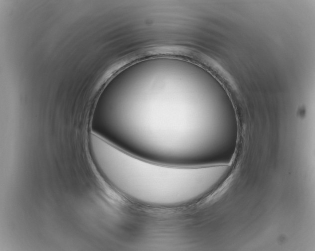 X0000095111033200712070914