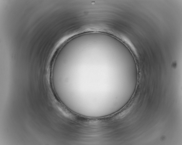 X0000095111035200712070914