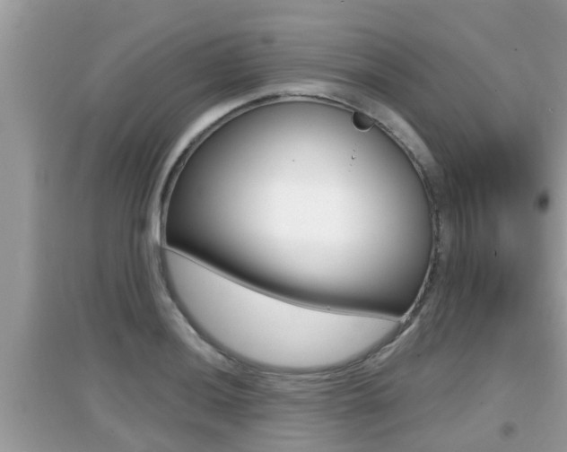 X0000095111036200712070914