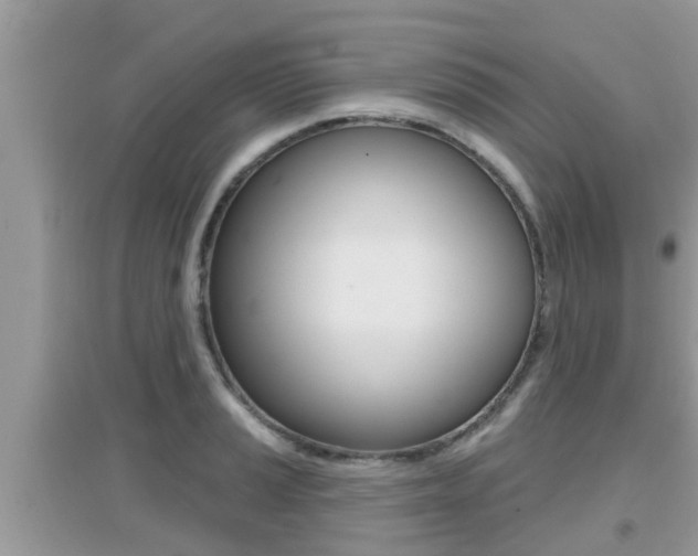 X0000095111037200712070914