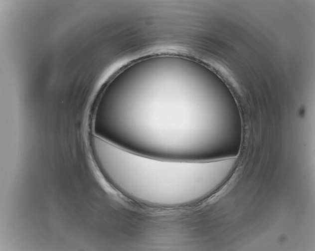 X0000095111038200712070914