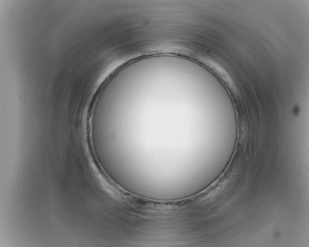 X0000095111039200712070914
