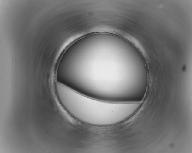 X0000095111040200712070914