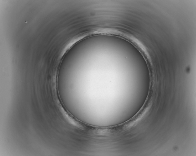 X0000095111041200712070914