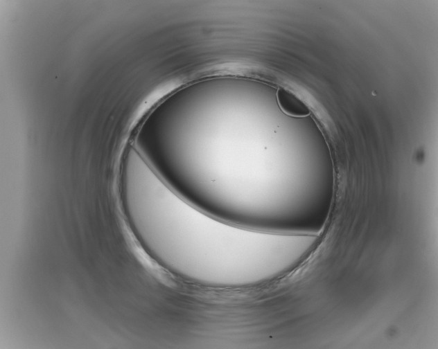 X0000095111042200712070914