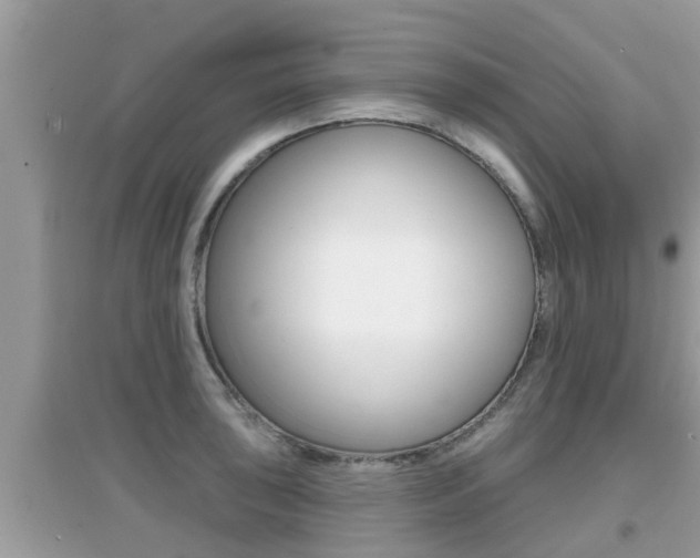 X0000095111043200712070914