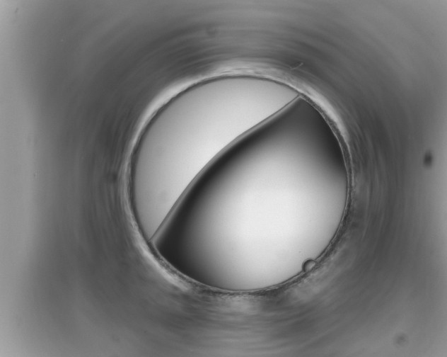 X0000095111045200712070914