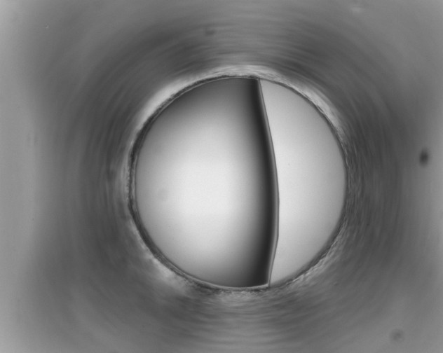 X0000095111046200712070914