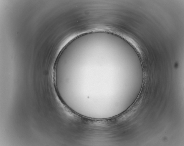 X0000095111047200712070914