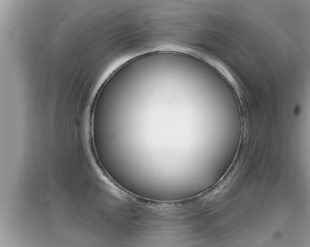 X0000095111048200712070915