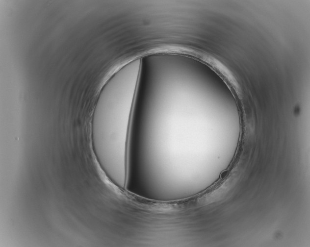 X0000095111049200712070915