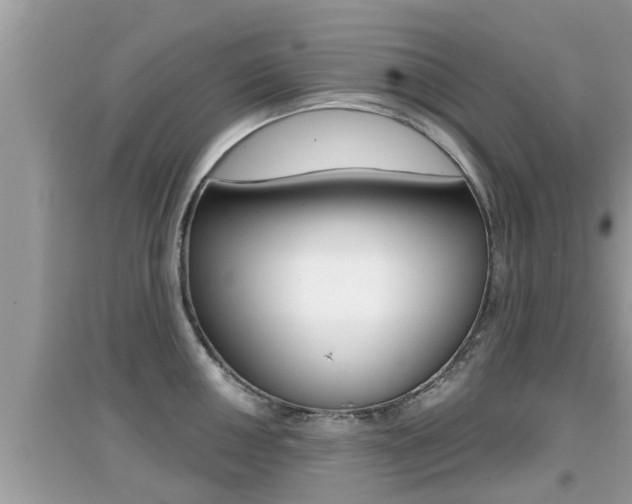 X0000095111050200712070915