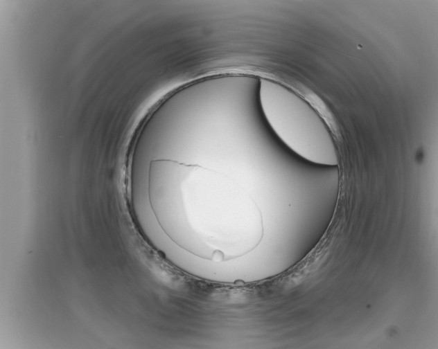 X0000095111051200712070915