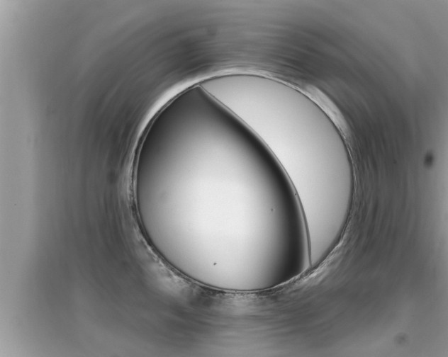 X0000095111052200712070915
