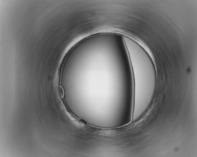 X0000095111053200712070915