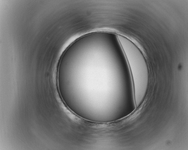 X0000095111054200712070915