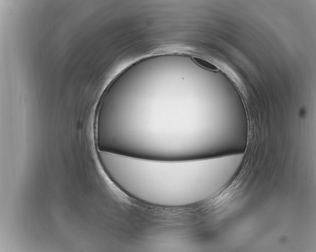 X0000095111055200712070915