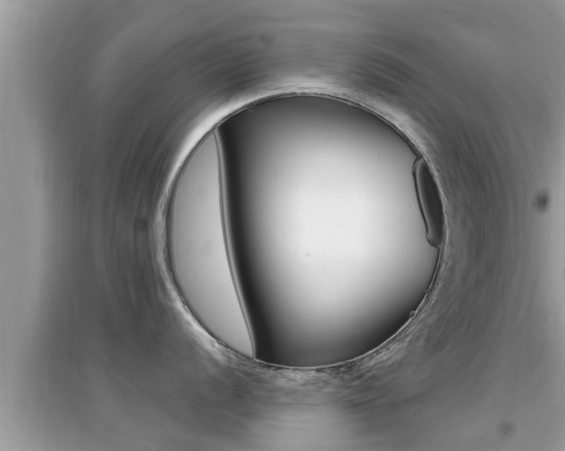 X0000095111056200712070915