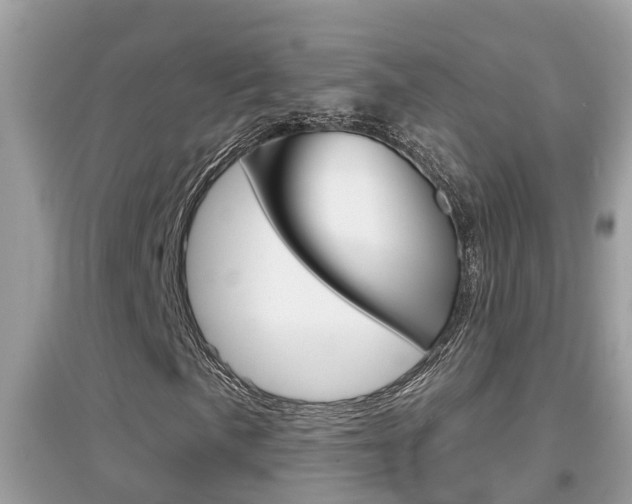 X0000095111057200712070914