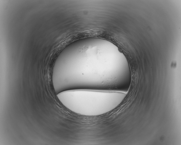 X0000095111058200712070914