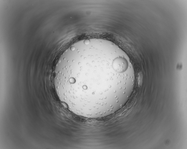 X0000095111059200712070914