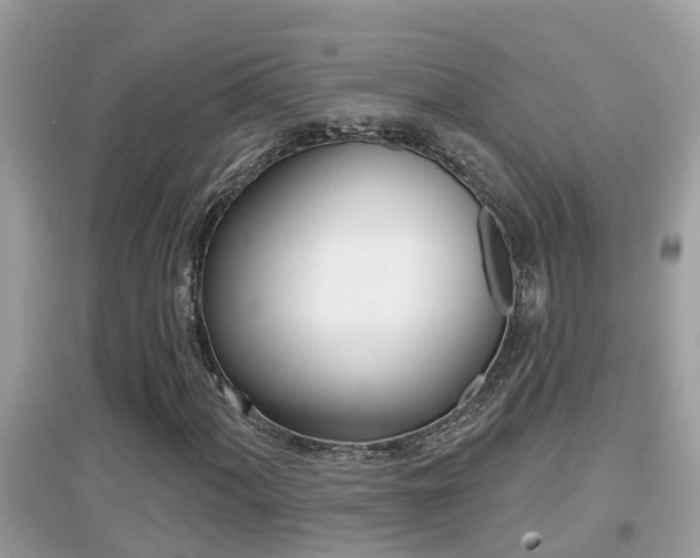 X0000095111060200712070914