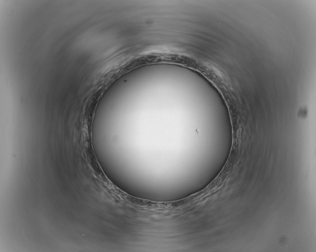 X0000095111062200712070914