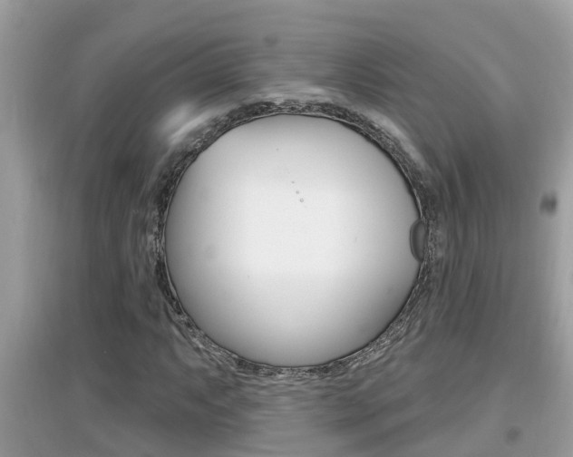 X0000095111063200712070914